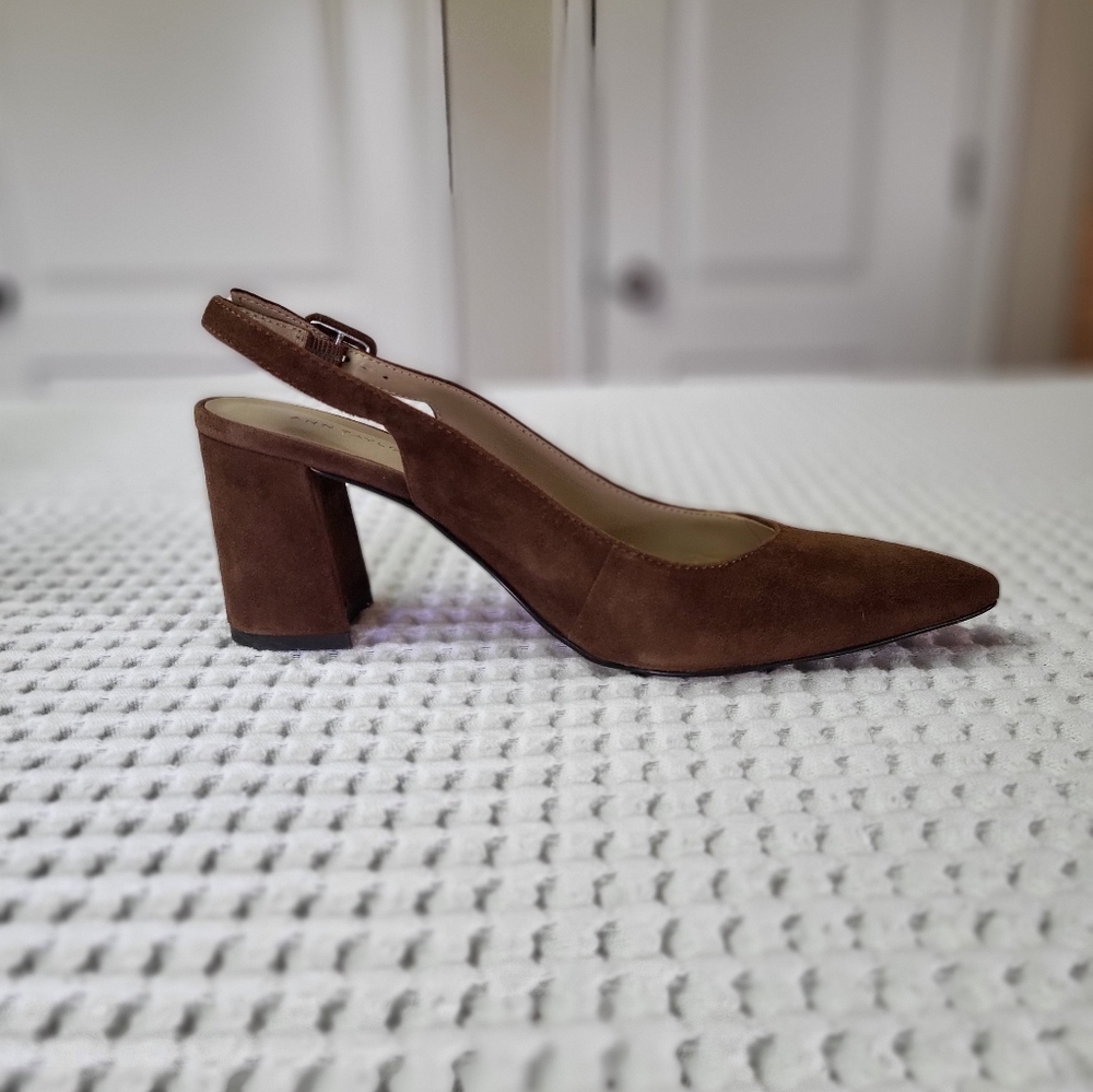 Ann Taylor Block Slingback Pumps